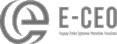 E-CEO